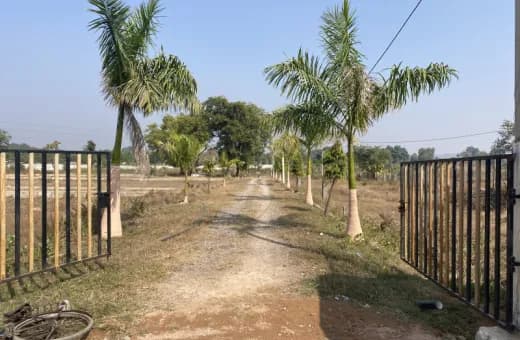 1000 Sq.ft. Residential Plot for Sale in New Indira Colony,Tikamgarh